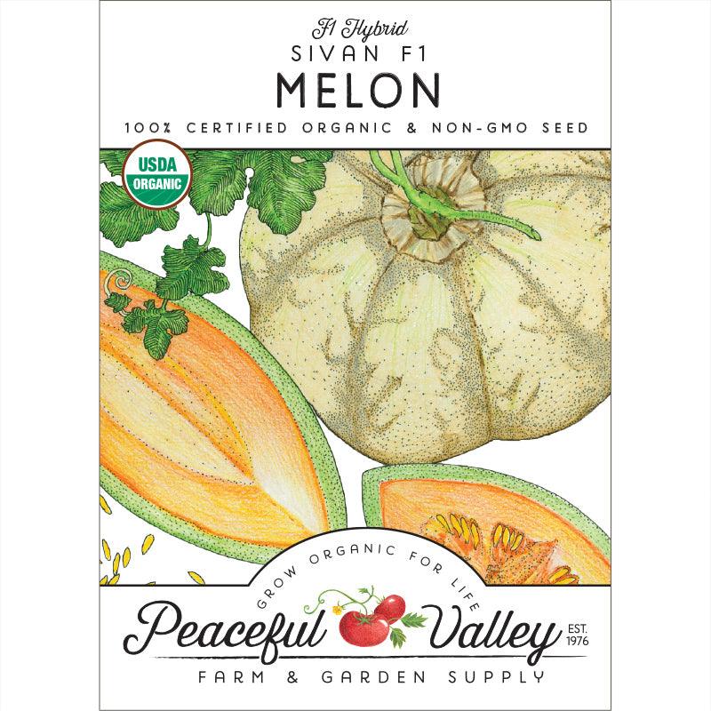 Organic Sivan melon vegetable seeds from Grow Organic, showing a packet of melon seeds ready for planting.