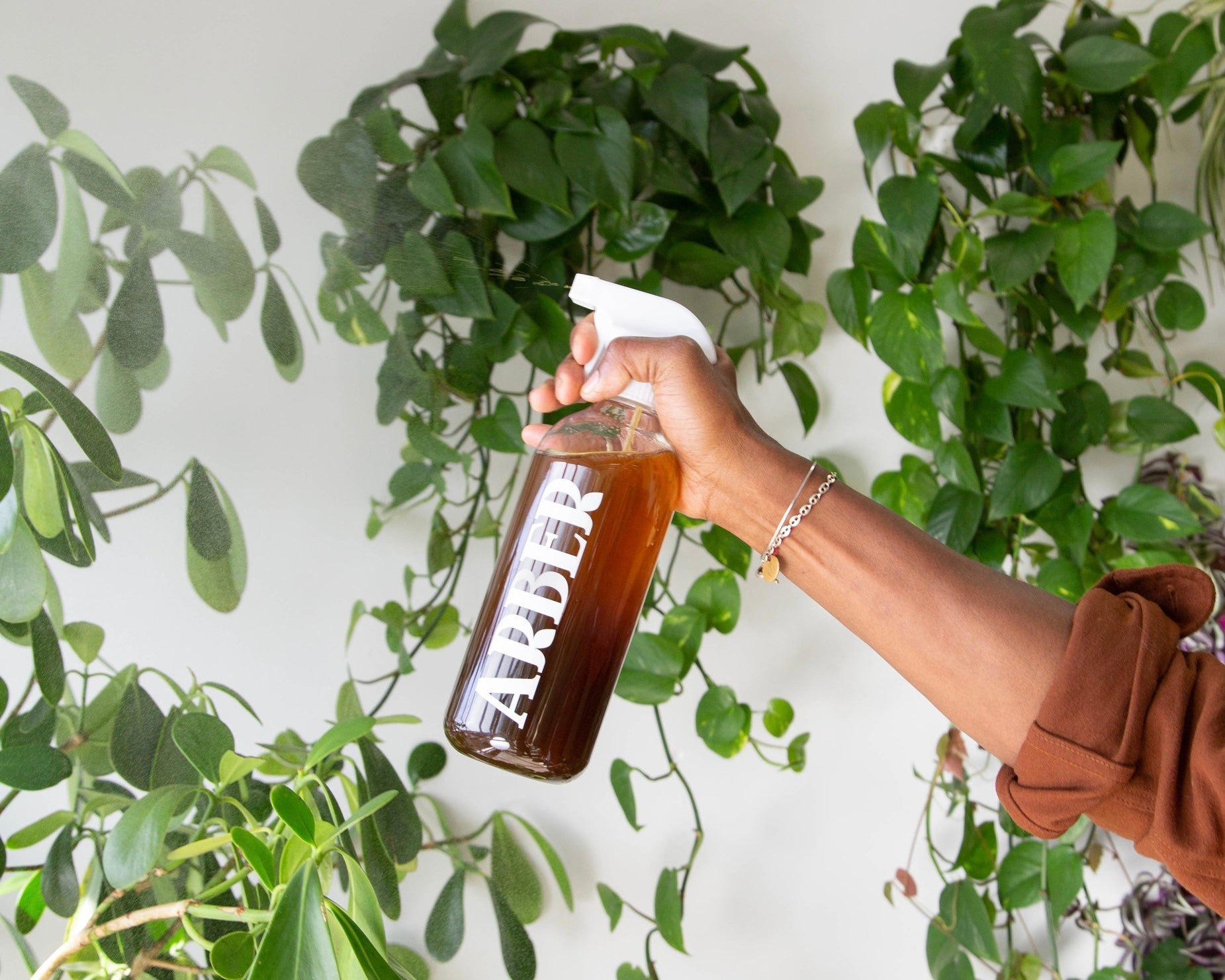 A person uses the Arber Spray Bottle to mist green leafy plants, enhancing plant wellness and hydration. A fine mist appears against a white background.
