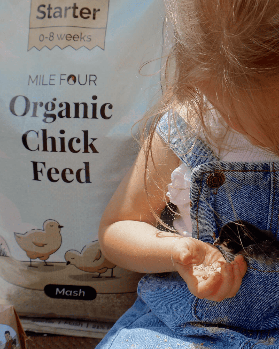 Starter Organic Chicken Feed - Blessings Grow Meadows