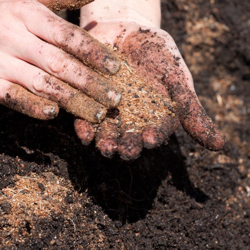 Acid Mix (25 lb Bag) - Blessings Grow Meadows