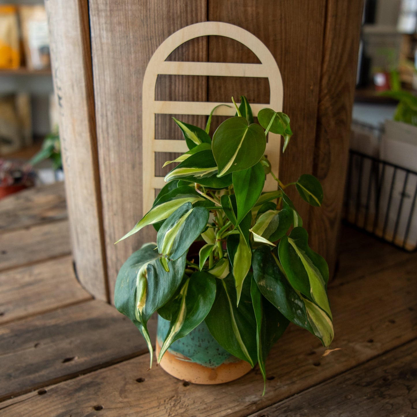 Plant Trellis - Arch - Blessings Grow Meadows -