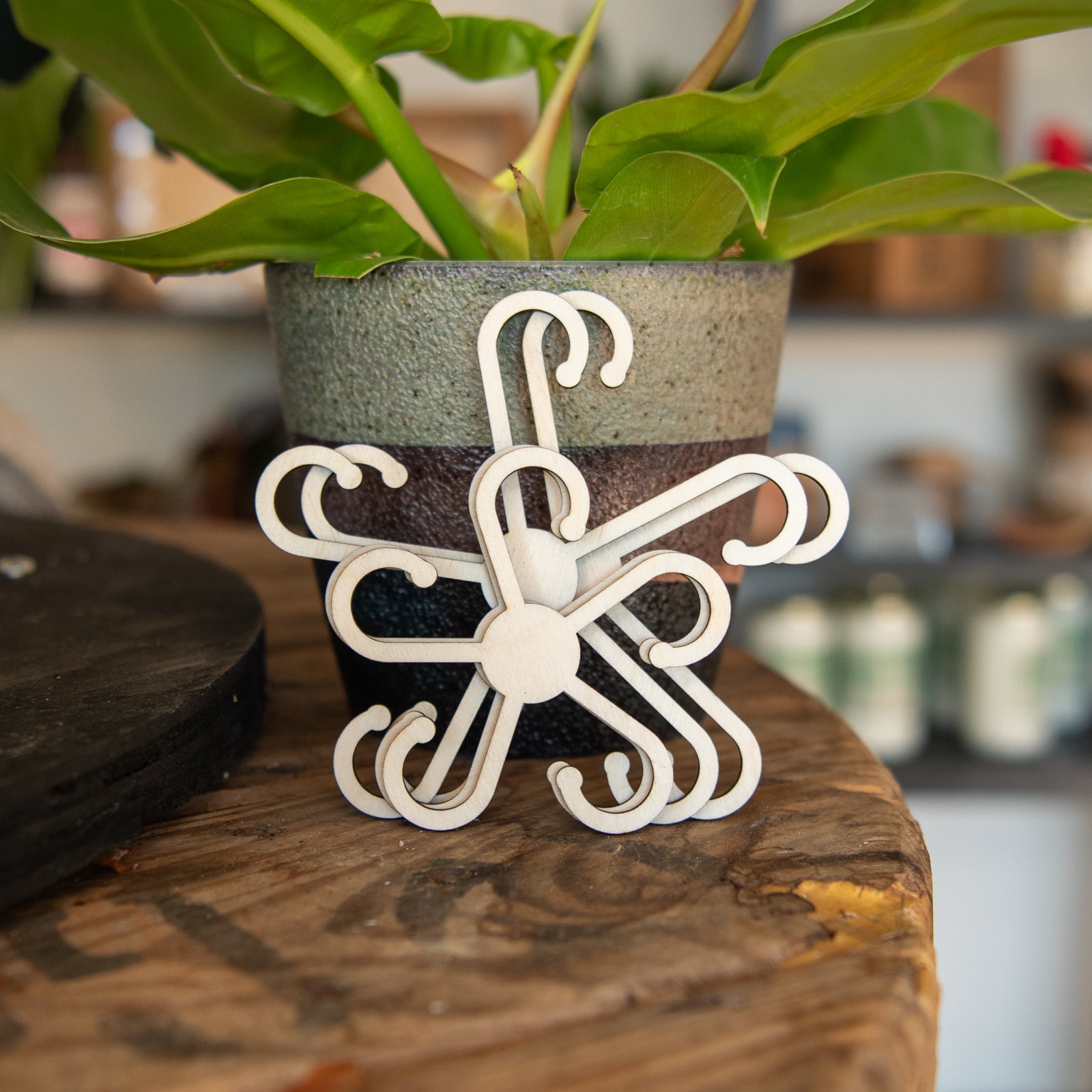 Stem Supports - Blessings Grow Meadows -