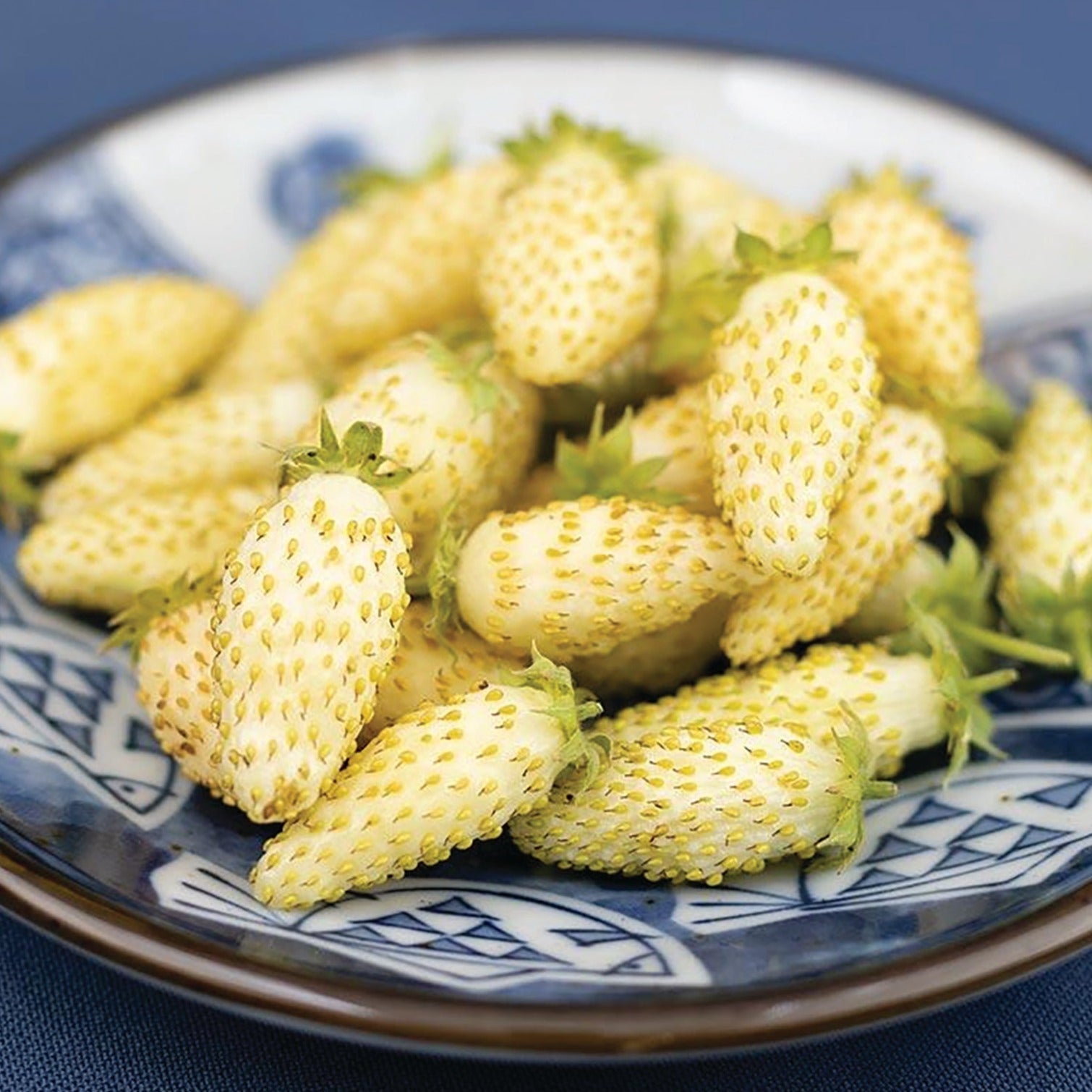 Yellow Wonder Strawberry (Everbearing) seeds - Blessings Grow Meadows