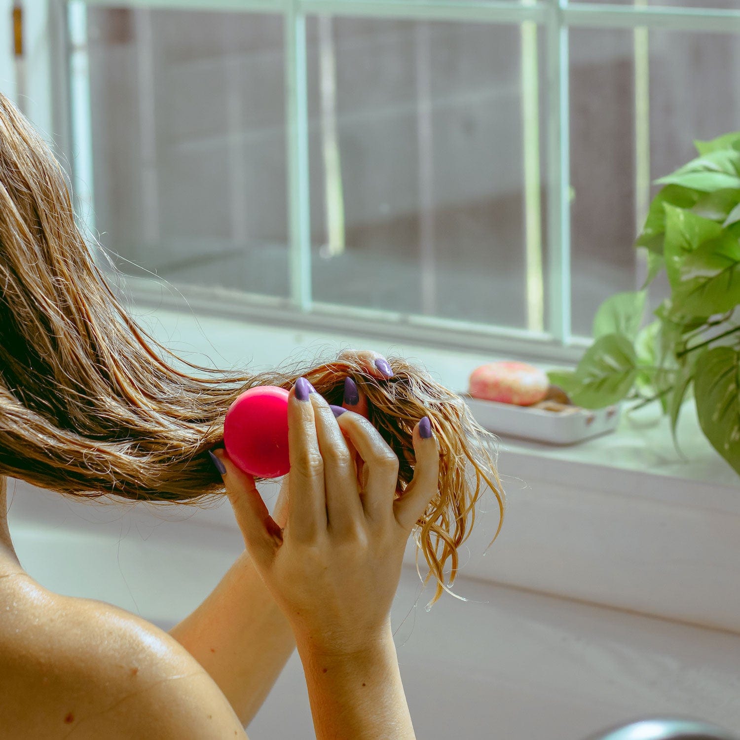 After using the ZeroWasteStore.com Conditioner Bar, a person with wet hair detangles it with a bright pink round brush by a sunlit window, next to a green plant and small white dish.