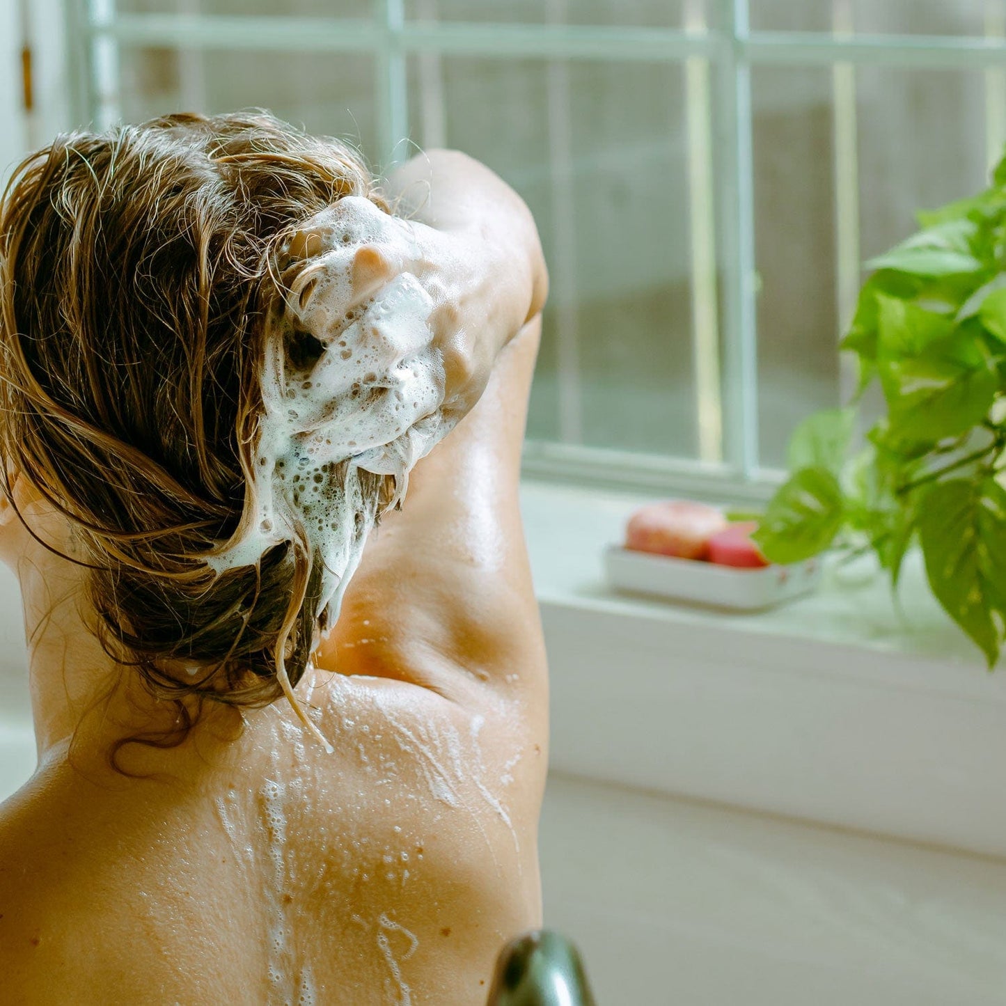 A person washes their hair with the ZeroWasteStore.com Shampoo & Conditioner Bar Duo, lathered in foam. Sunlight shines through a window where a green plant and a red soap bar rest on the windowsill. Their back faces the camera.