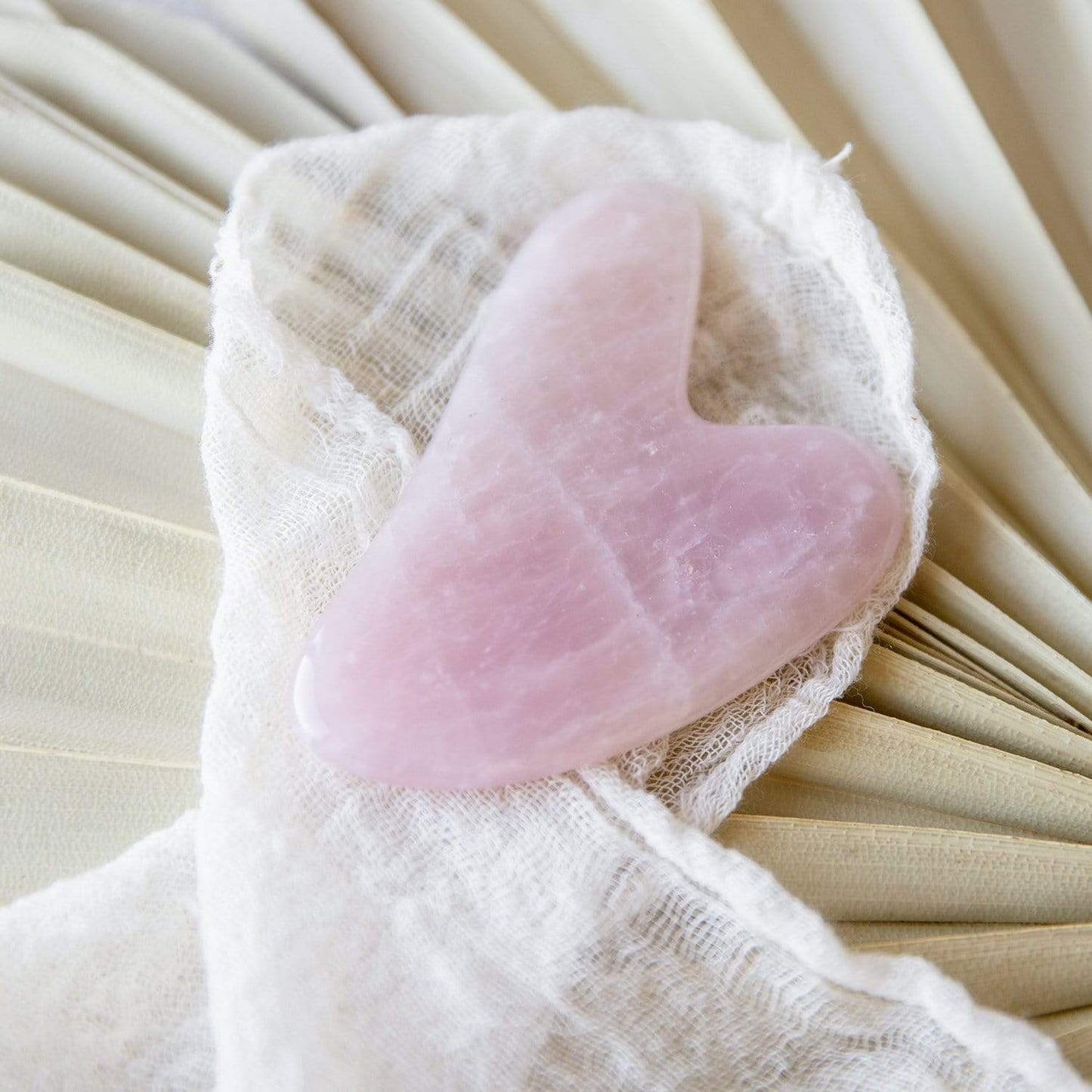 Gua Sha Facial Tool - Blessings Grow Meadows
