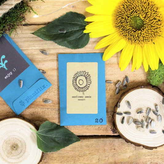 Sunspot sunflower seeds, flower seeds by Plantflix, showing vibrant sunflower seed packets with bright yellow sunflower illustrations.