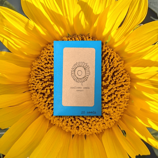 Sunspot sunflower seeds by Plantflix, a pack of flower seeds shown in a colorful packet for planting bright, sunny sunflowers.