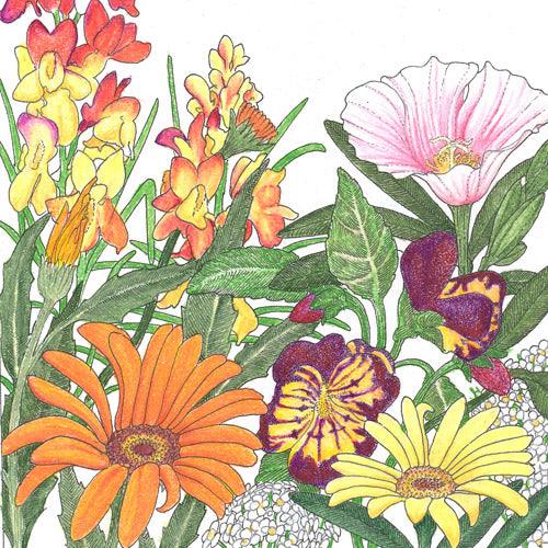 Grow Organic low growing wildflower mix seed packet, featuring colorful flower seeds ideal for garden or landscape planting.