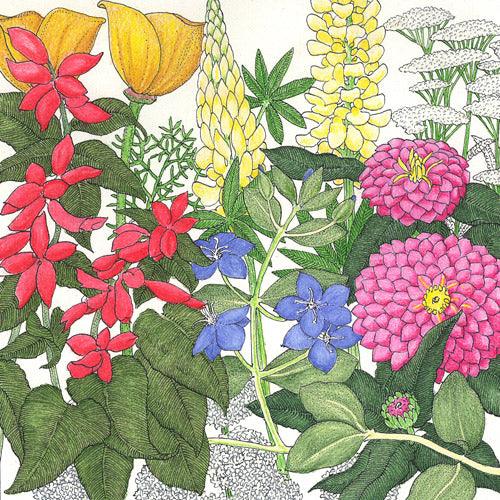 Grow Organic deer-proof wildflower seed mix in a pack, featuring colorful native flowers for a thriving garden display.