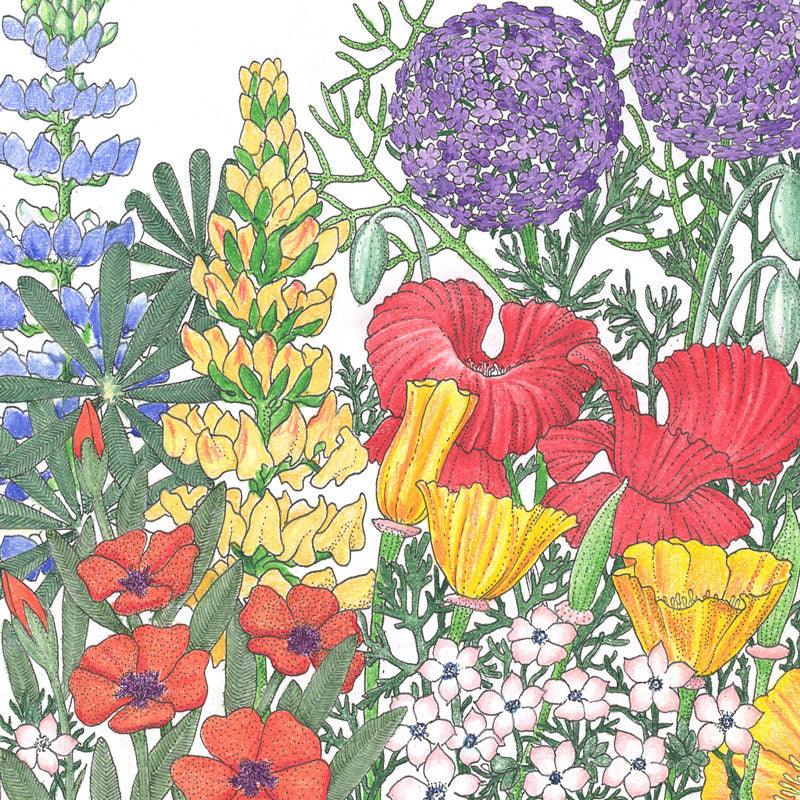 Grow Organic Northwest Wildflower Mix flower seed pack with colorful wildflower variety for garden planting