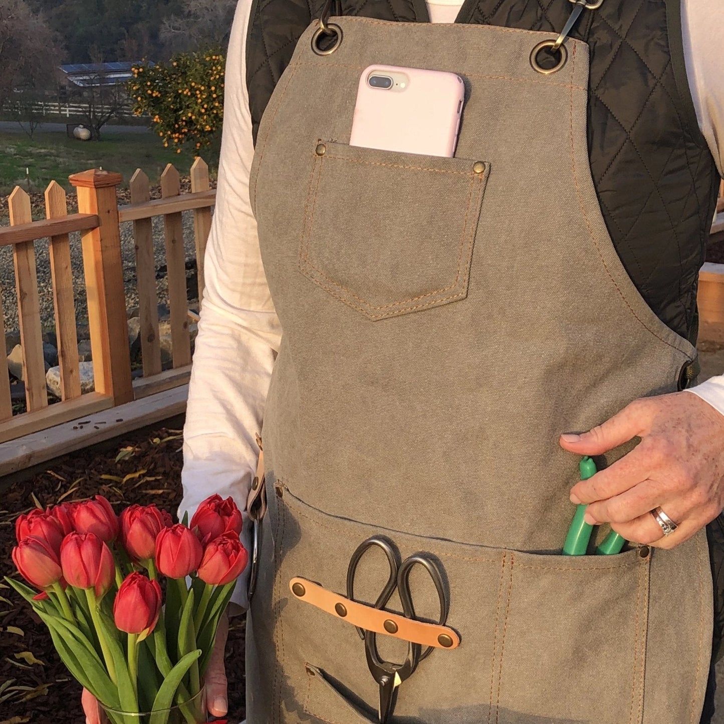 Wearing The Celtic Farms Gardening Apron - Waxed Canvas Apron with Pockets, a person holds red tulips and keeps a smartphone in the chest pocket, surrounded by a wooden fence and lush garden.