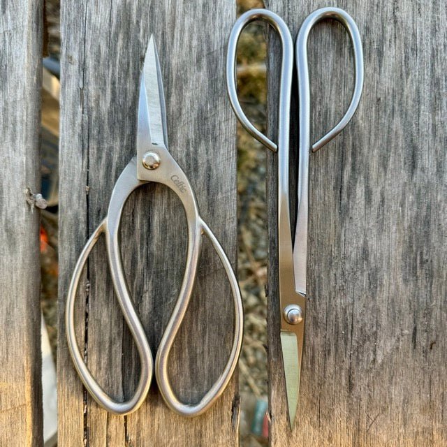Garden Gift Box - Stainless Garden Scissor Set - Blessings Grow Meadows