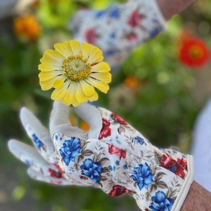Garden Gift Box - Gloves and Snips - Blessings Grow Meadows