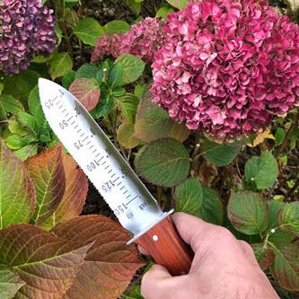 A hand holds The Celtic Farm Hori Hori Garden Gift Box knife with measurement markings, pointed at pink hydrangea flowers and green leaves in a vibrant garden.