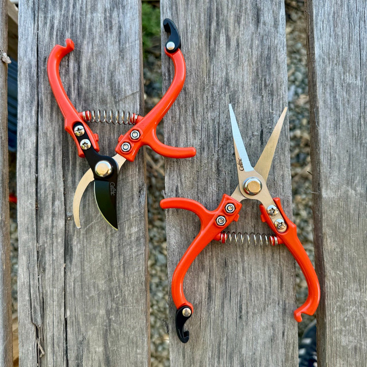 The Celtic Farm Mini Hand Pruner Gift Set includes two orange-handled ergonomic pruners—one with curved blades and one with straight—perfect for light gardening and indoor plant care, displayed on a rustic wooden surface.