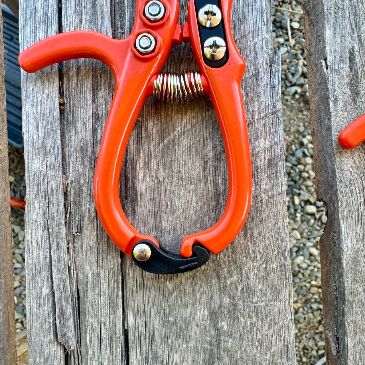 Close-up of The Celtic Farm Mini Hand Pruner Gift Set—ergonomic pruners perfect for light gardening—resting on weathered wooden planks with gravel in the background.