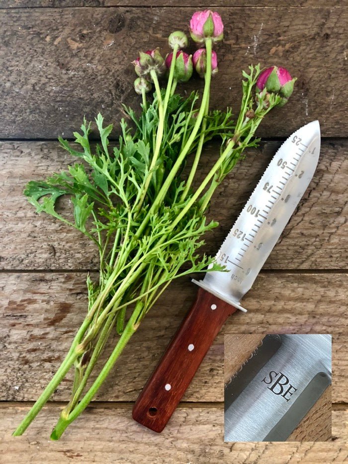 A bunch of pink ranunculus lies beside The Celtic Farms Our Katana Hori Hori Garden Tool, featuring a wooden handle and measurement markings. An inset highlights the blade engraved with SBE.