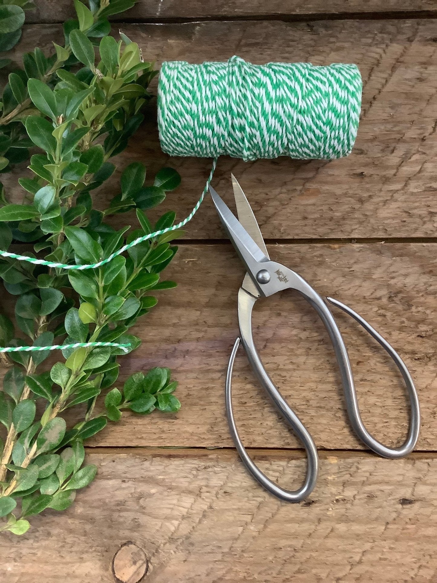 The Celtic Farm Stainless Garden Scissors rest on a rustic wooden surface beside green and white twine, which is partially cut and attached to the scissors, along with green leafy stems.