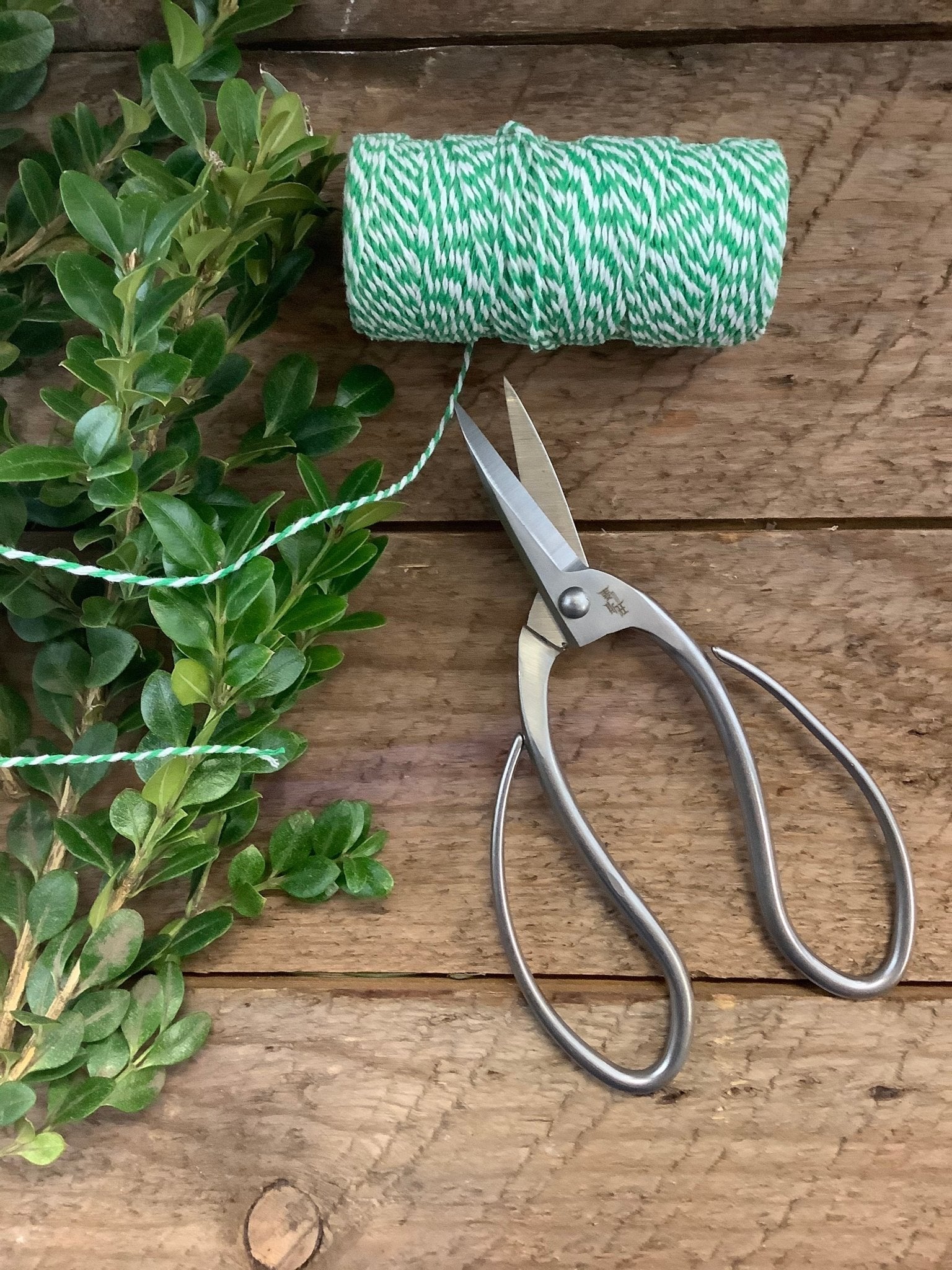 The Celtic Farm Stainless Garden Scissors rest on a rustic wooden surface beside green and white twine, which is partially cut and attached to the scissors, along with green leafy stems.