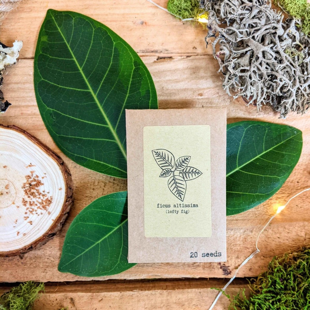 Set of houseplant seeds from Plantflix's The Popular Kids collection, featuring various colorful seed packets for indoor plants.