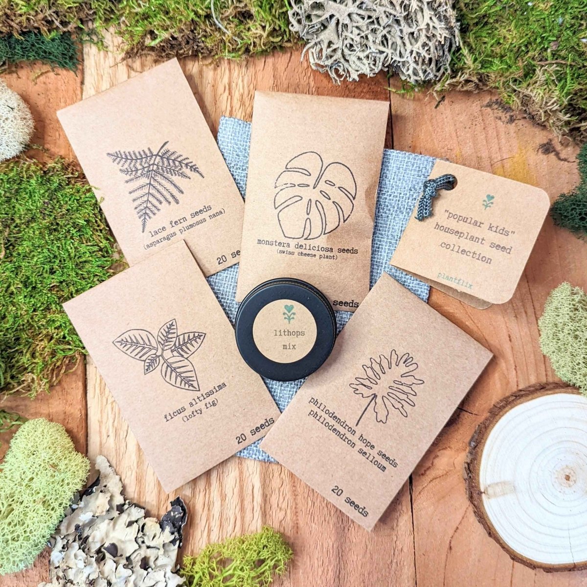 Collection of houseplant seeds from Plantflix, featuring various seed packets for popular indoor plants for kids.