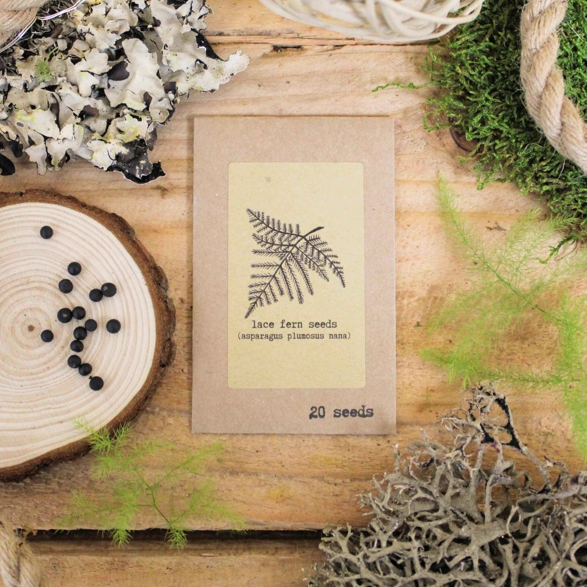 Set of houseplant seeds from Plantflix's The Popular Kids collection, featuring colorful seed packets for growing indoor plants.