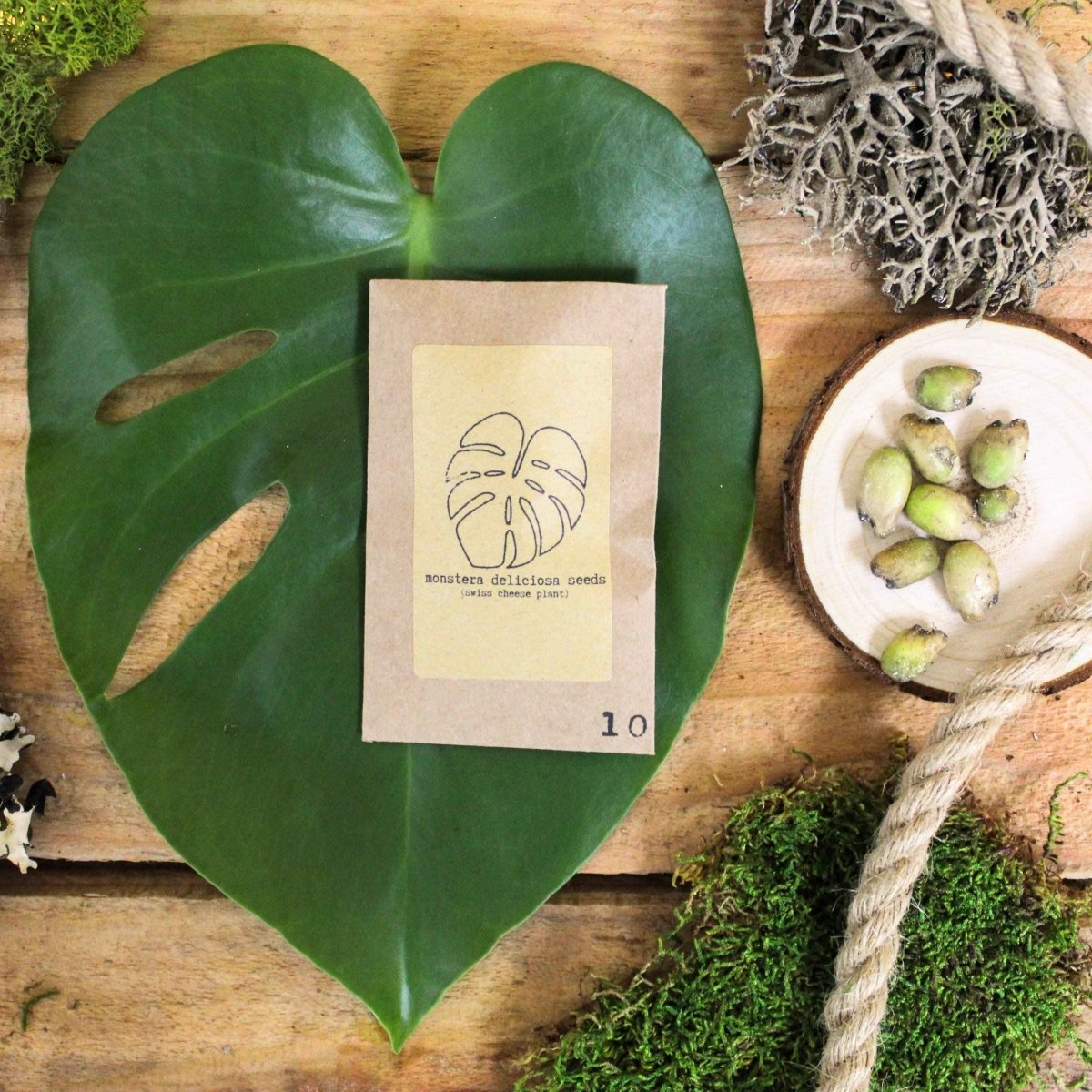 Collection of houseplant seeds from Plantflix's The Popular Kids Houseplant Seed Collection, featuring various colorful seed packets.