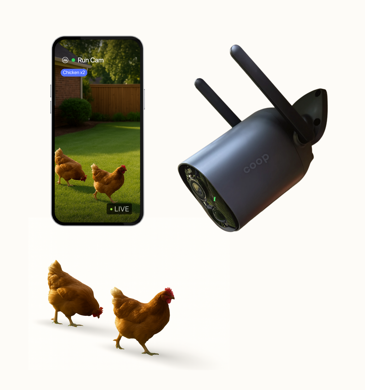 Smart CoopCam installed on The Smart Coop chicken coop, showing camera equipment and chicken habitat for secure poultry monitoring.