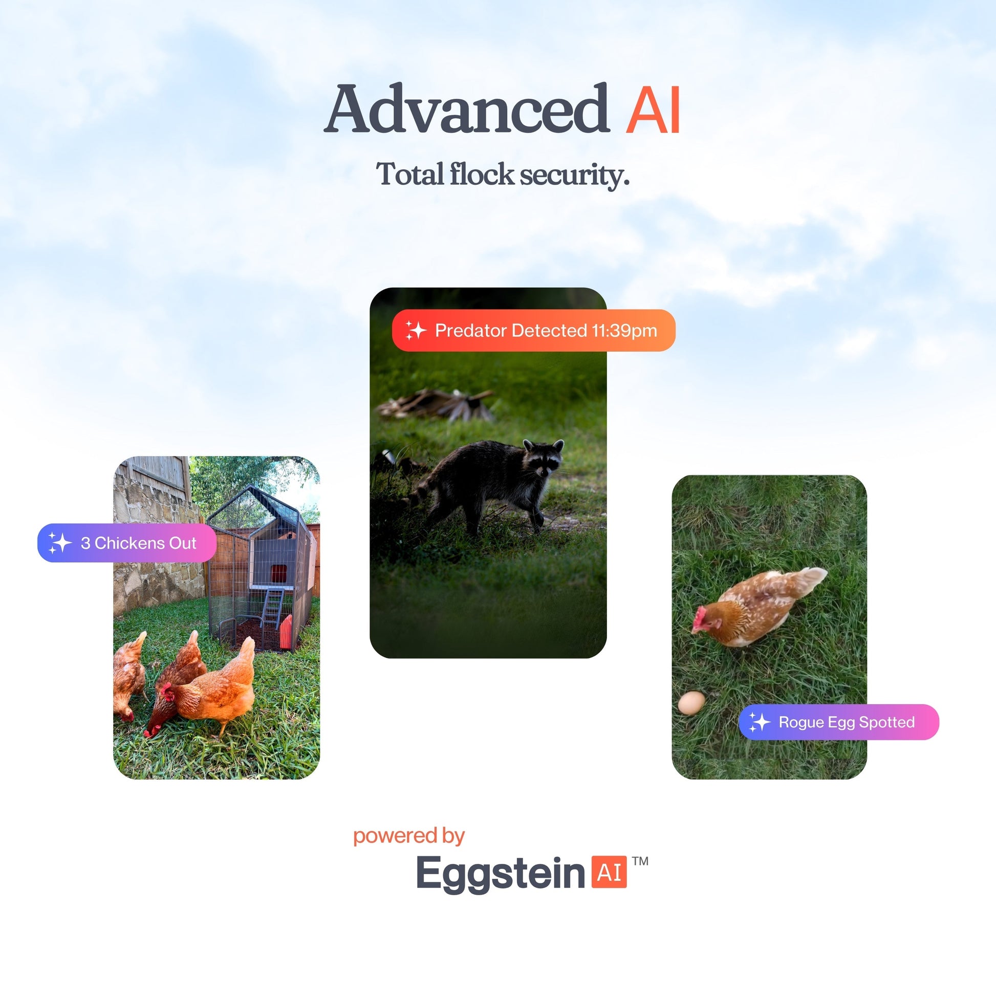 Smart CoopCam installed on The Smart Coop chicken coop, featuring secure wire mesh and wooden structure for backyard poultry.