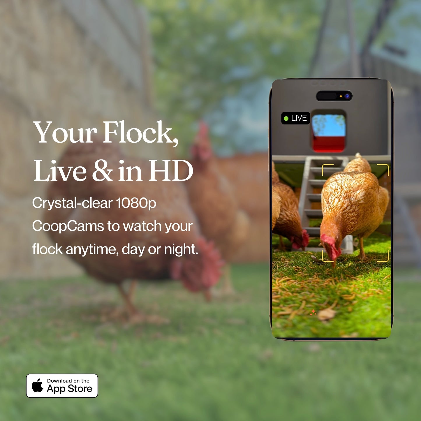 Smart CoopCam chicken coop by The Smart Coop, featuring secure nesting areas and integrated camera for monitoring chickens.