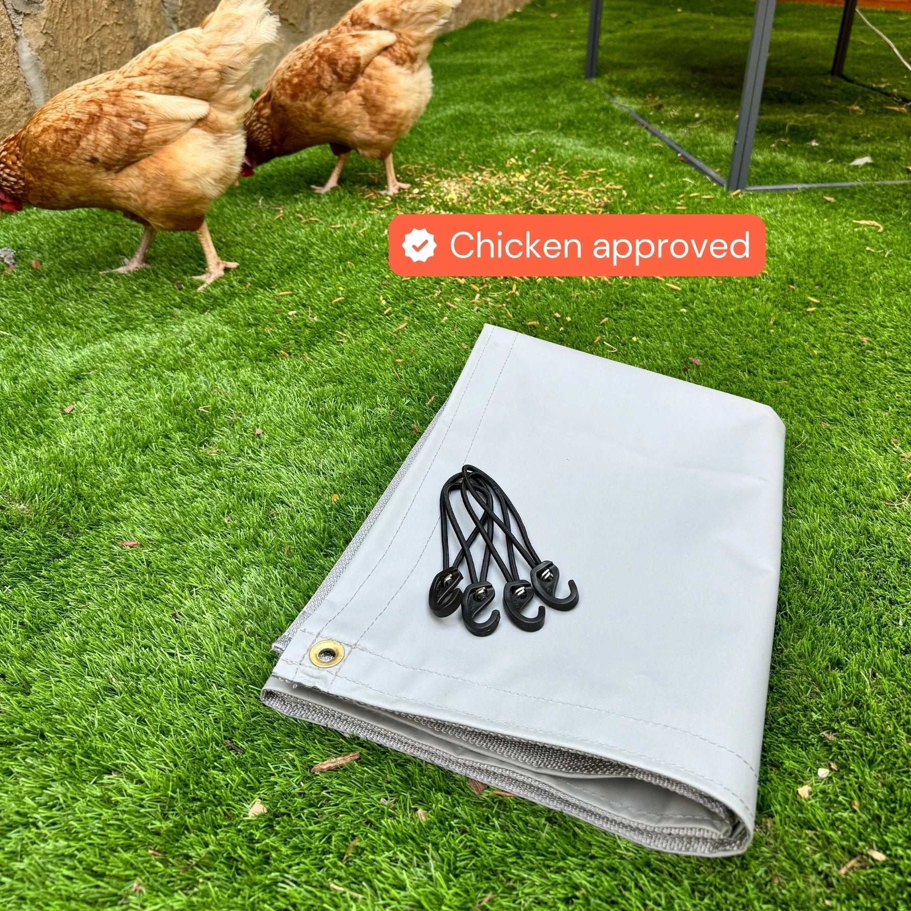 Power + Protect Bundle of chicken supplies from The Smart Coop, featuring essential items for chicken health and safety.