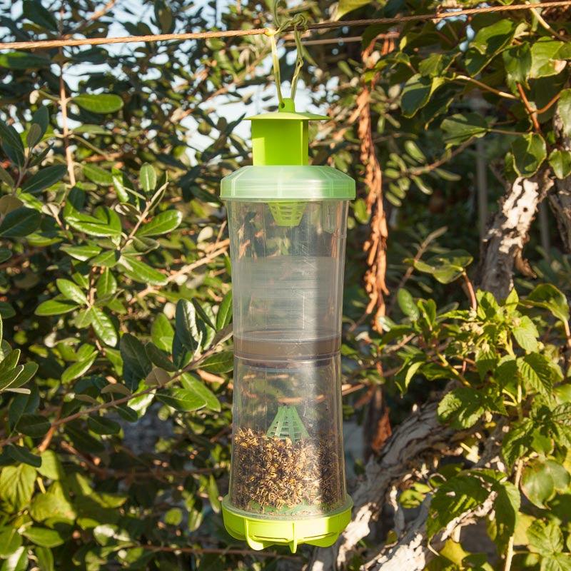 Reusable W-H-Y Trap with Attractant - Blessings Grow Meadows