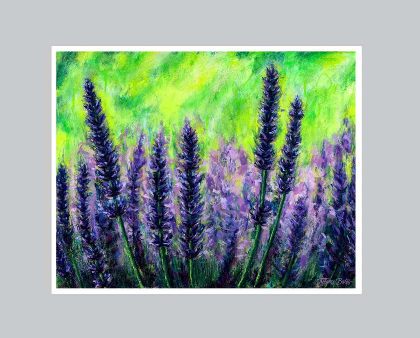 Lavendar Fields Forever - Fine Art Print - Multiple Sizes - Blessings Grow Meadows -