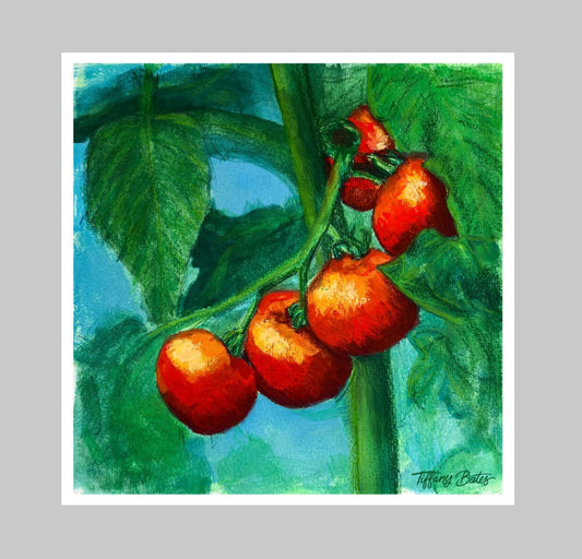 Sun-kissed tomatoes art print by Tiffany Bates Art, 8x8 inch fine art print showcasing vibrant, realistic tomato imagery.