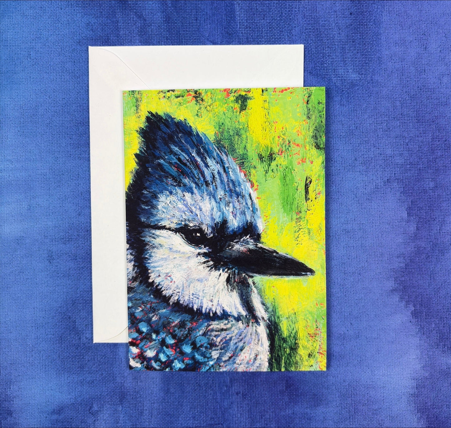 Bluejay’s Gaze greeting card by Tiffany Bates Art featuring a detailed illustration of a bluejay bird on a white background.