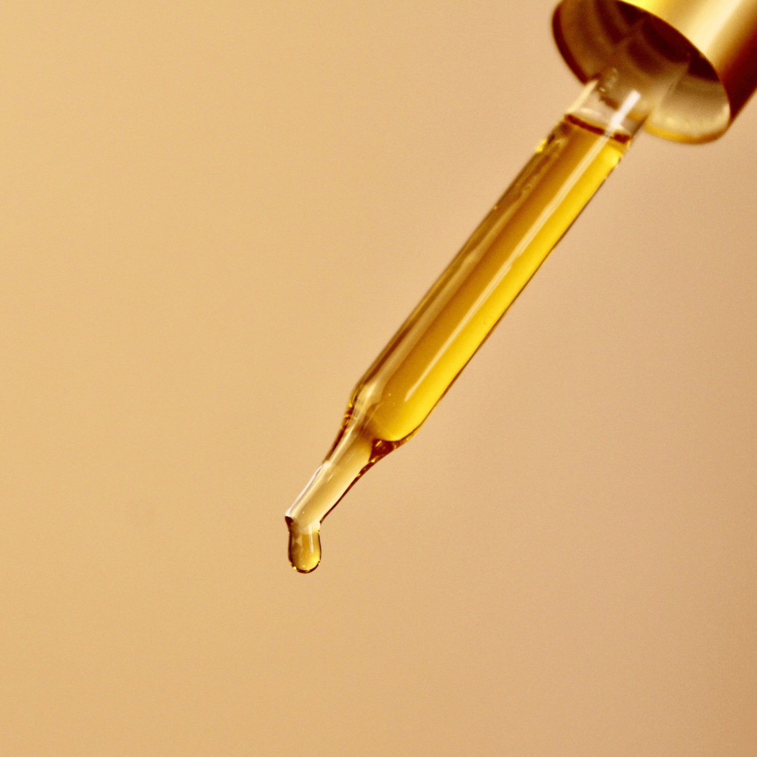 Timeless Antioxidant Facial Serum - Blessings Grow Meadows