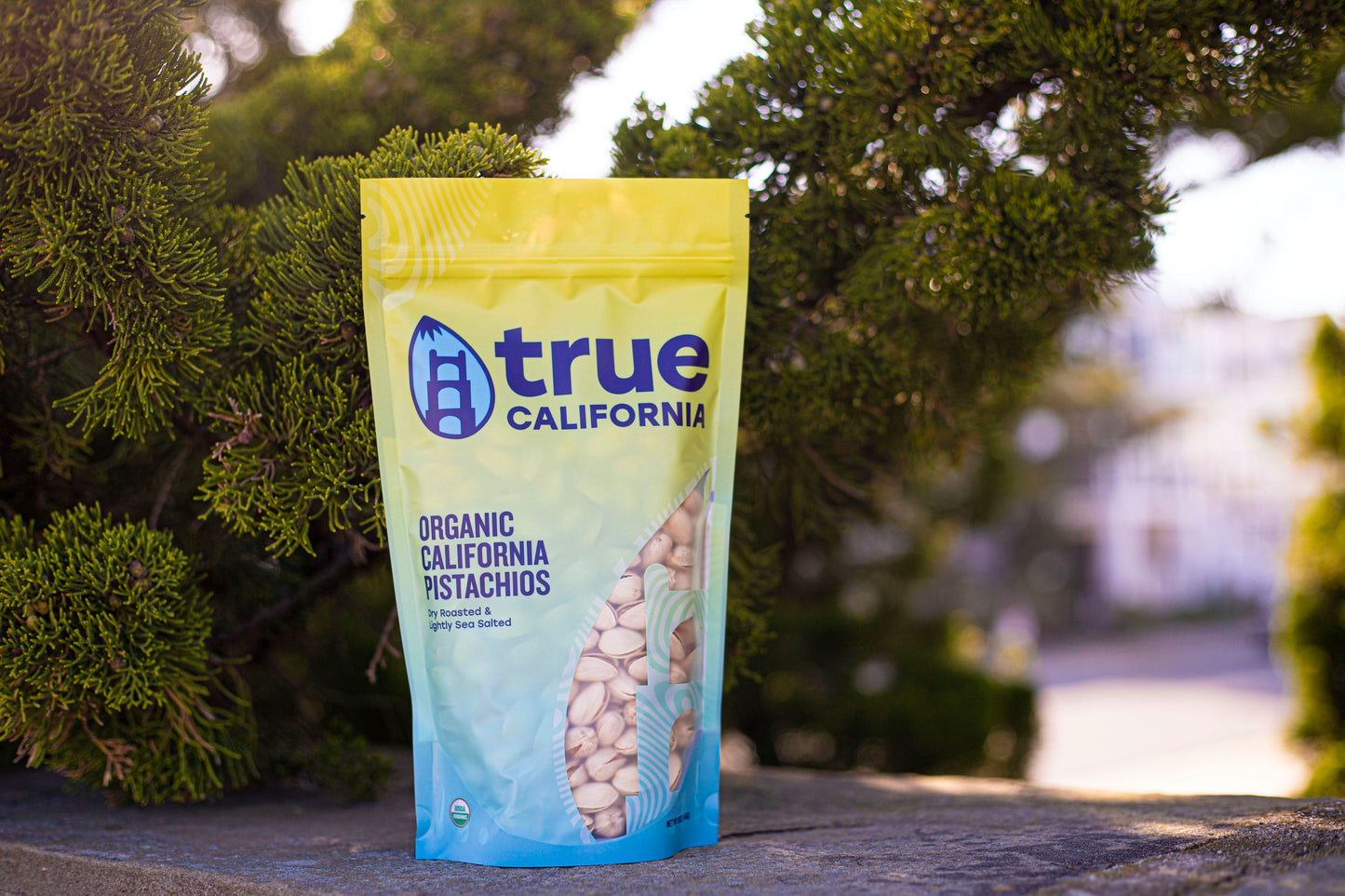 Organic True California pistachios in a 1 lb bag, dry roasted and lightly salted, with a close-up of the pistachios in the image.