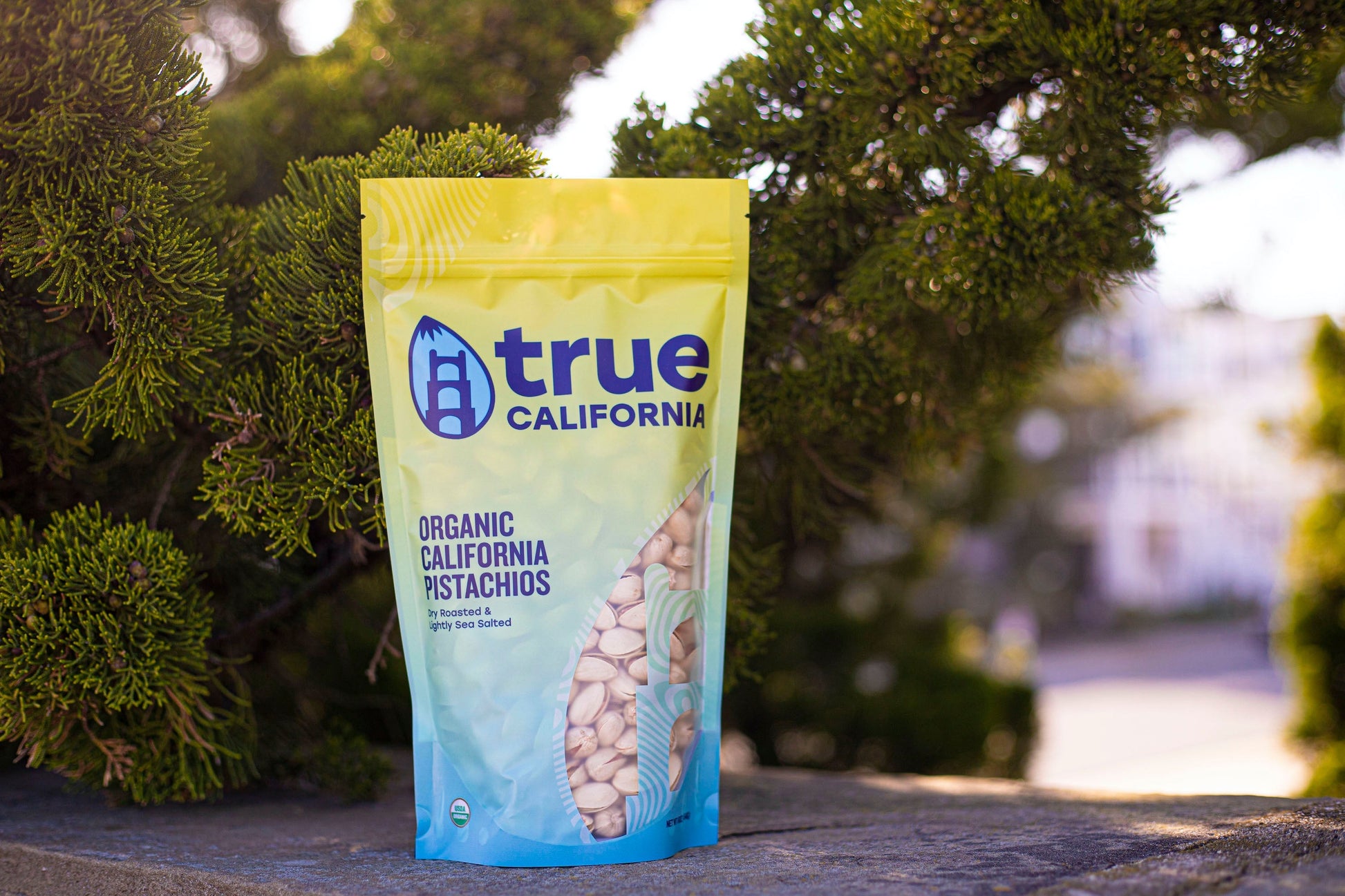 Organic True California pistachios in a 1 lb bag, dry roasted and lightly salted, with a close-up of the pistachios in the image.