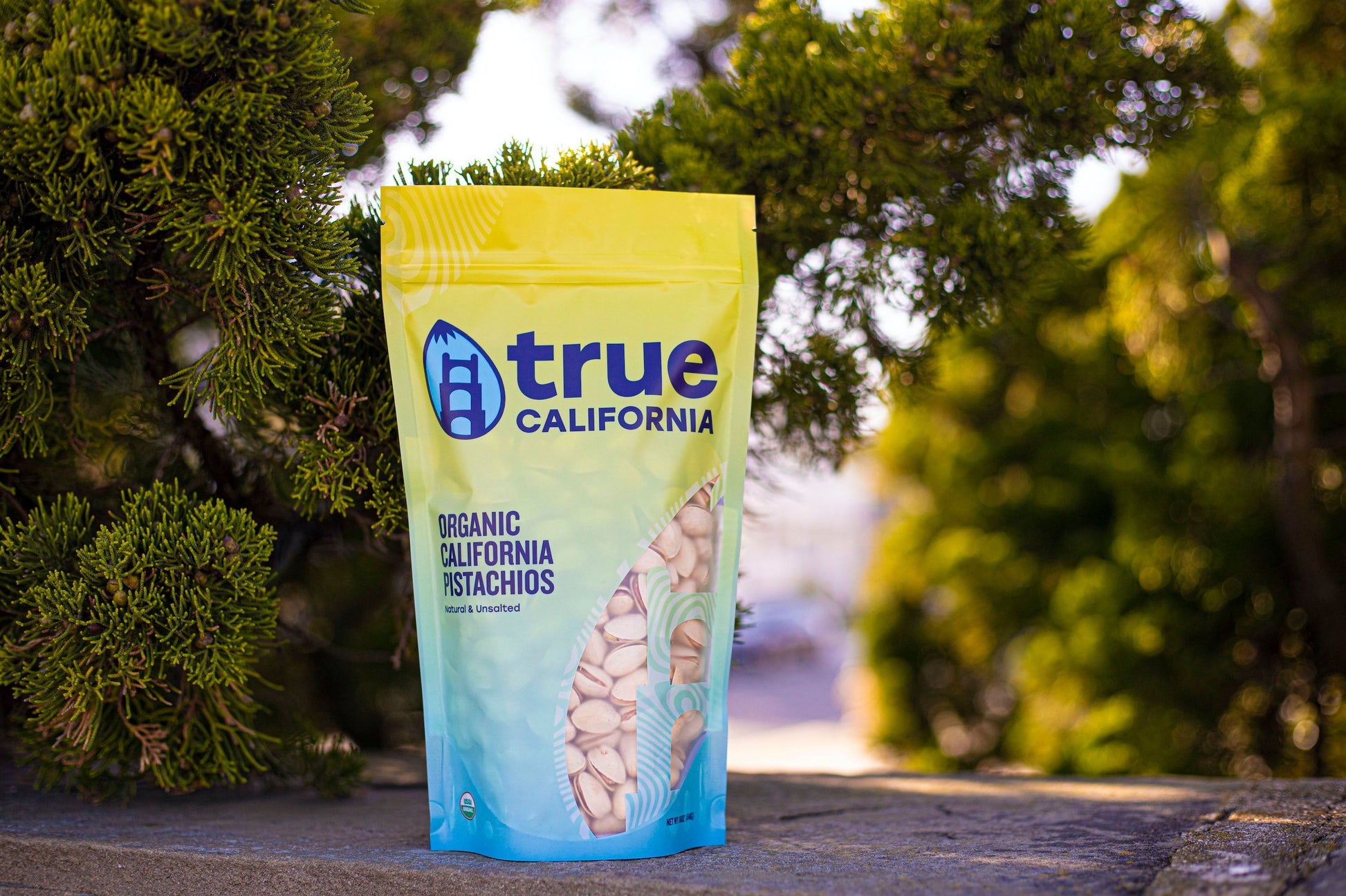 Organic True California pistachios in shell, natural and unsalted, shown in a close-up image.