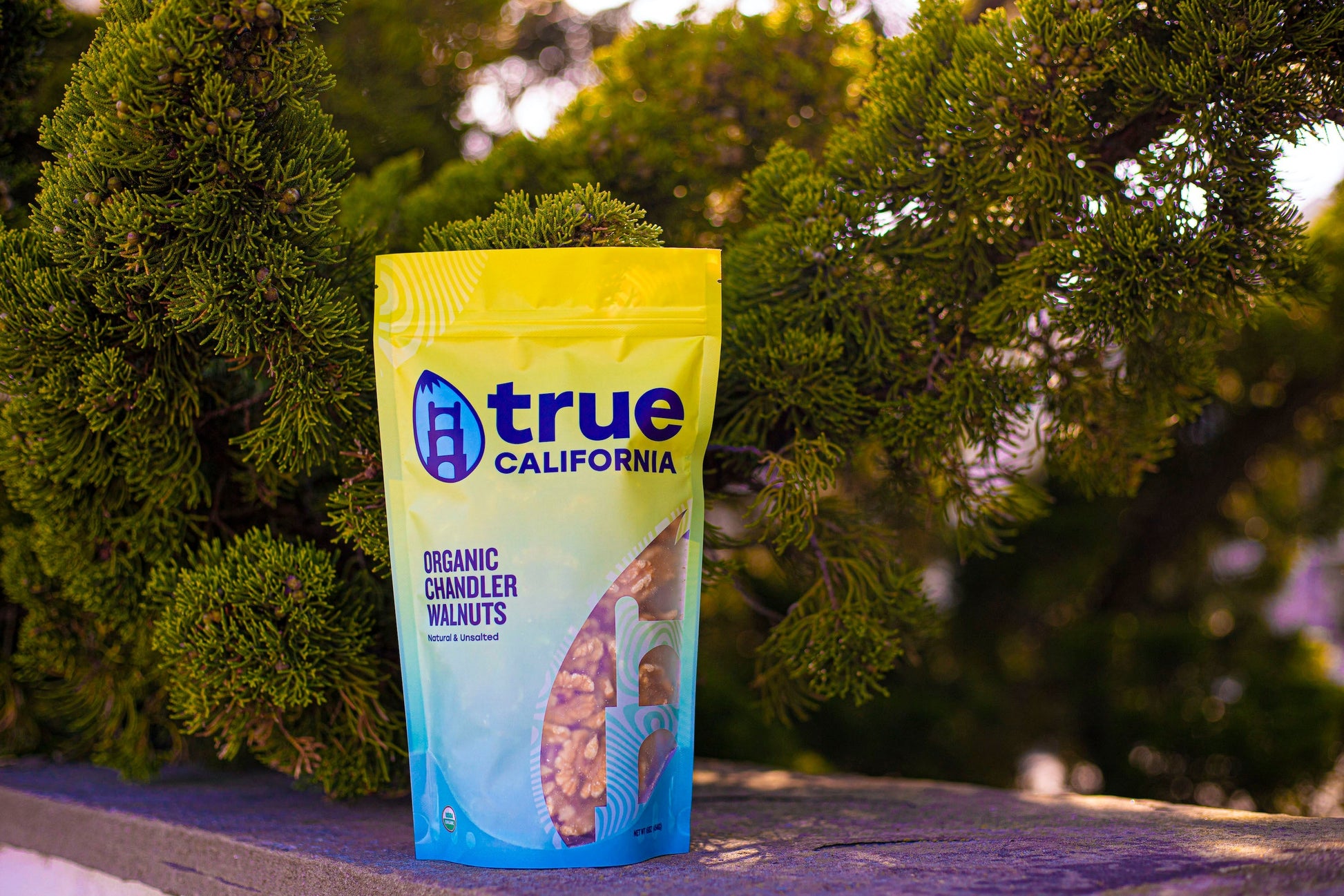 Organic Chandler walnuts from True California, showing a close-up of fresh, raw walnuts in a 1 lb package.