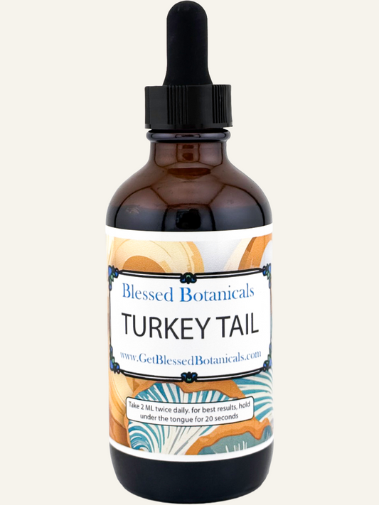 Organic Turkey Tail Mushroom Extract Tincture by Blessed Botanicals in a glass bottle with dropper for herbal health support.