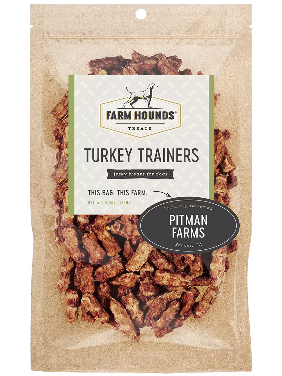 Farm Hounds turkey trainers, casual sneakers with a turkey-themed design, front view showing detailed stitching and comfortable fit.