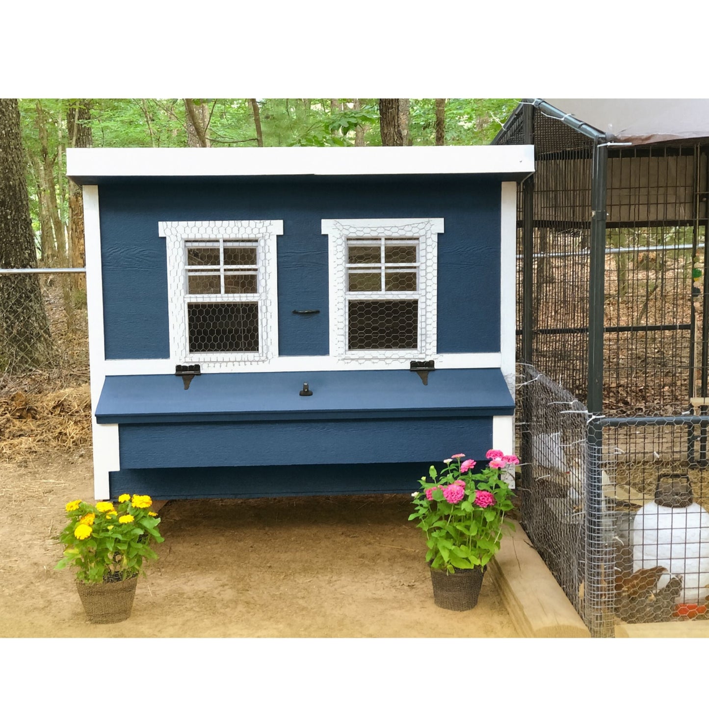 Large Chicken Coop - Up to 15 Chickens - OverEZ Chicken Coop ~ Blessings Grow Meadows