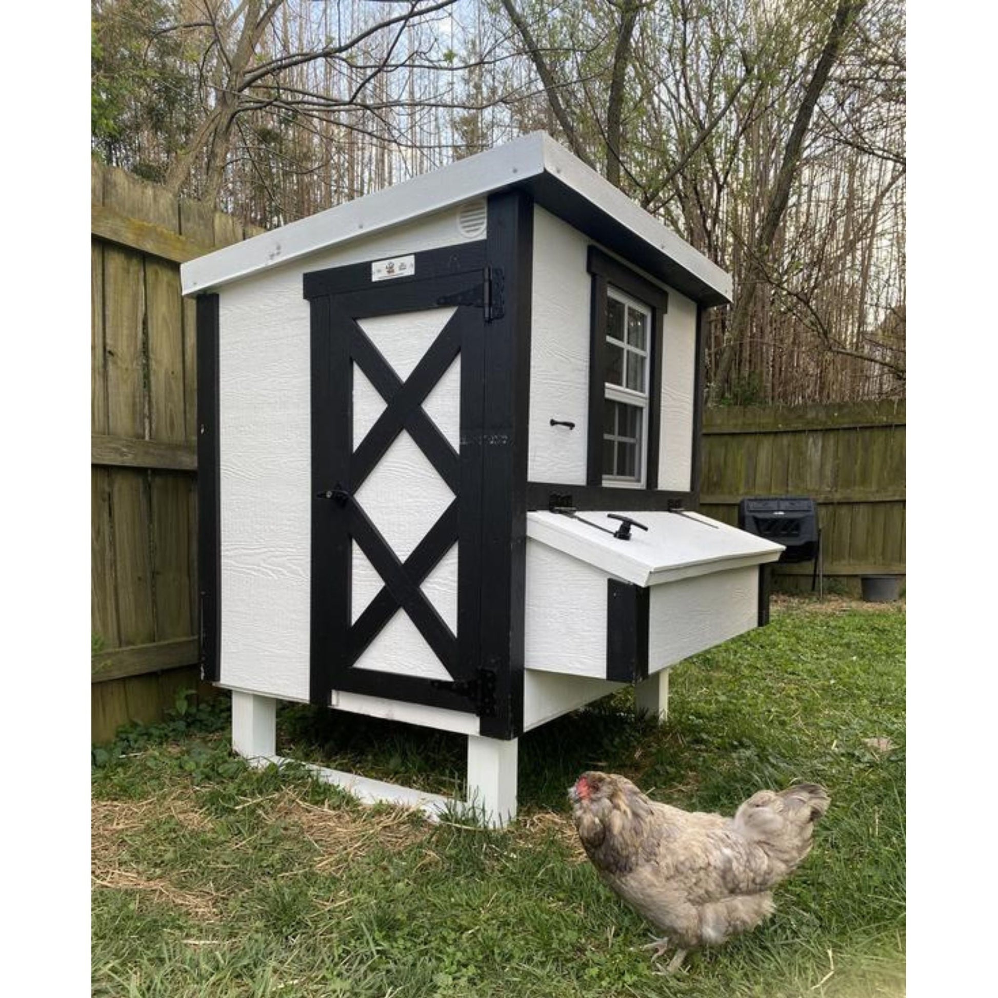 Medium Chicken Coop - Up to 10 Chickens - OverEZ Chicken Coop ~ Blessings Grow Meadows