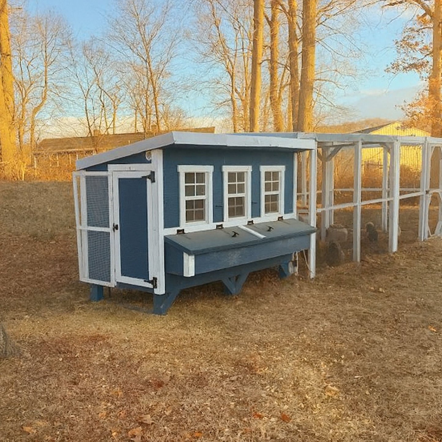 OverEZ XL chicken coop with spacious design for up to 20 chickens, featuring sturdy construction and ample ventilation.
