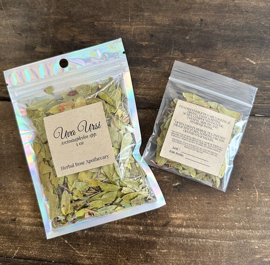 Dried Uva Ursi leaves in a labeled herbal supplement jar from Herbal Rose Apothecary.