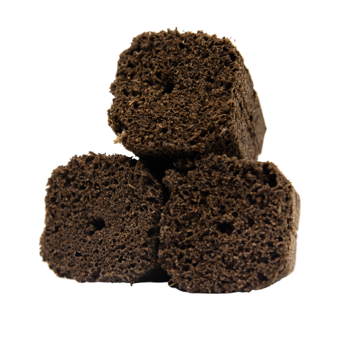 GrowersHouse OrganiPlug seed and cutting plugs in a pre-filled tray, featuring 50 tall plugs for plant propagation.