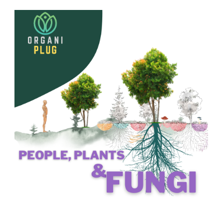 Ventana Plant Science OrganiPlug seed and cutting plugs in growing media with fungi for healthy plant propagation.
