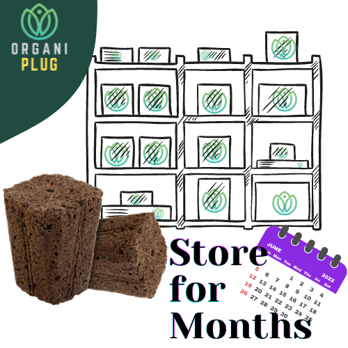 Ventana Plant Science OrganiPlug seed and cutting plugs in growing media trays for propagation and root development.
